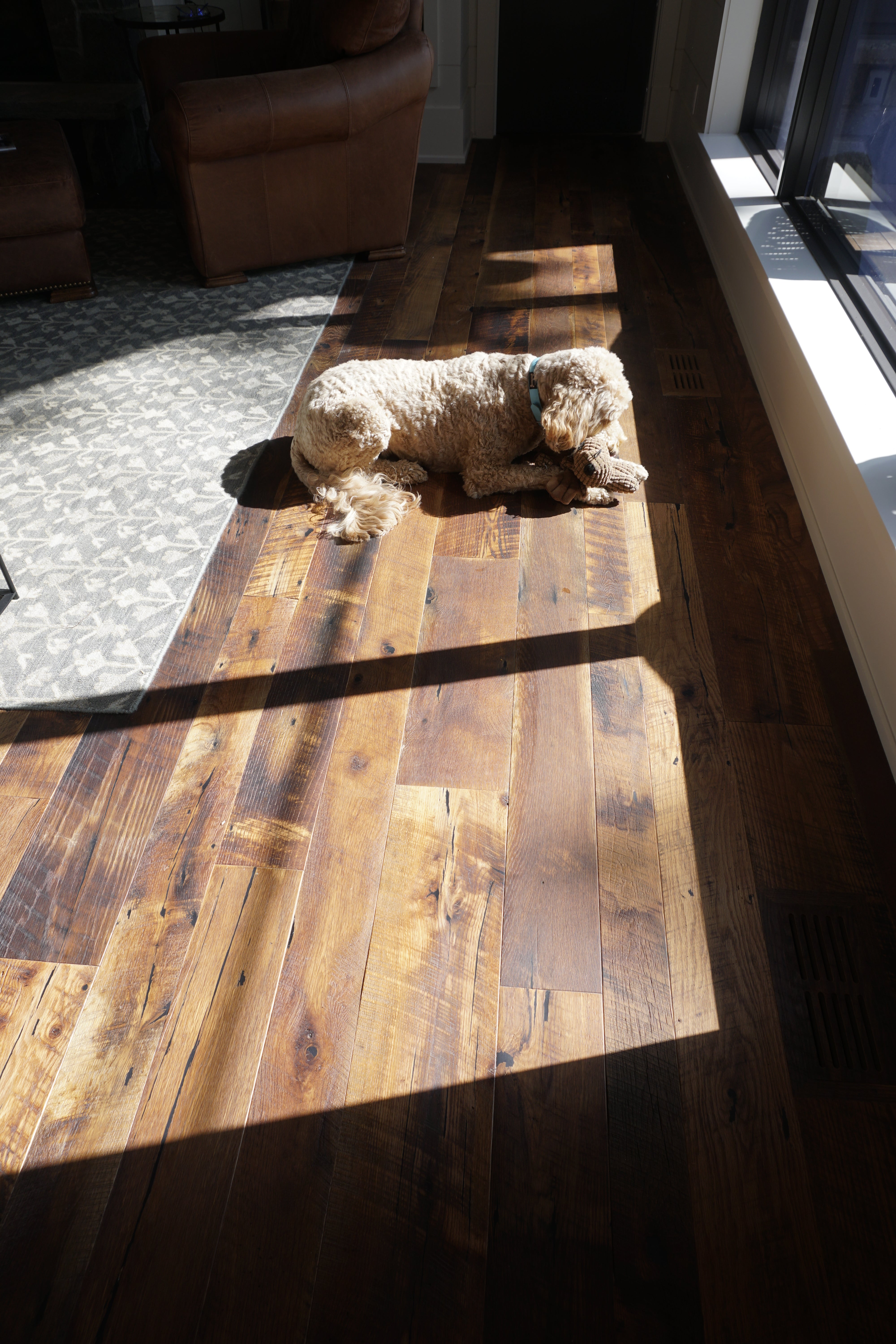 an interior view with midcentury modern furniture and northern wide wood planks on the floor