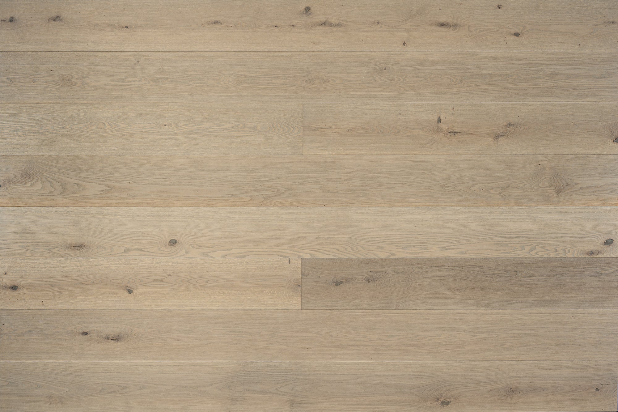 an interior view with midcentury modern furniture and northern wide wood planks on the floor